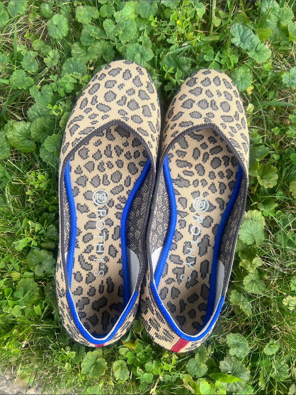 Rothy's Leopard Print Ballet Flats with Blue Trim